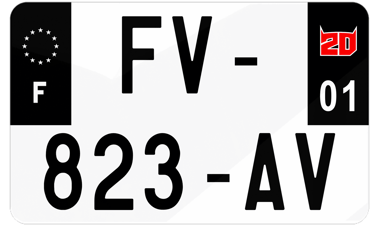 Plaque immatriculation logo Fabio Quartararo