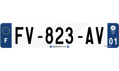 Plaque immatriculation homologuée avec réseau Facebook