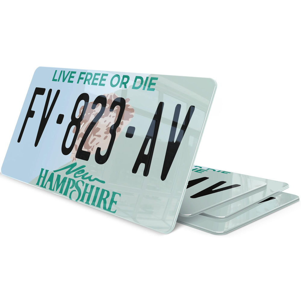 Lot De 10 Plaques D'immatriculation Américaines En Métal - 30x15cm USA