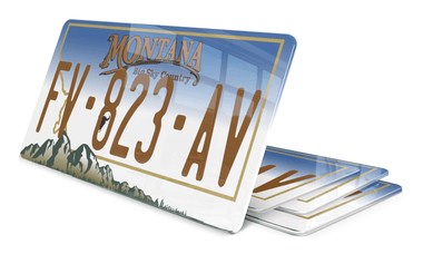 Plaque immatriculation Montana 2 USA 30x15