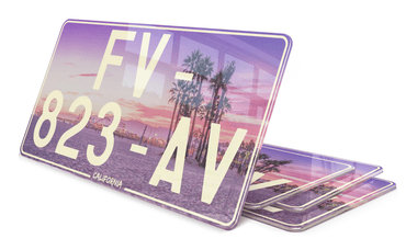 Plaque Immatriculation US California 2