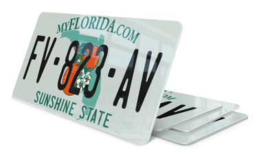 Plaque immatriculation My Florida USA 30x15