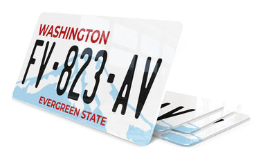 Plaque immatriculation Washington evergreen 2 USA 30x15
