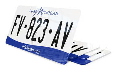 Plaque immatriculation Michigan USA 30x15