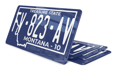 Plaque immatriculation Montana Treasure State USA 30x15