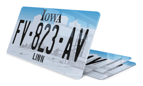 Plaque immatriculation Iowa Linn USA 30x15