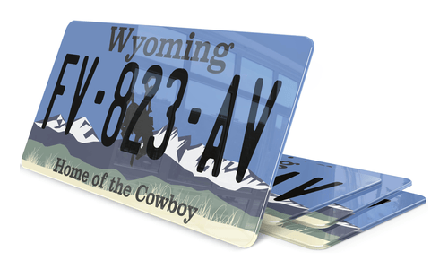 Plaque immatriculation Wyoming Home of the Cowboy USA 30x15
