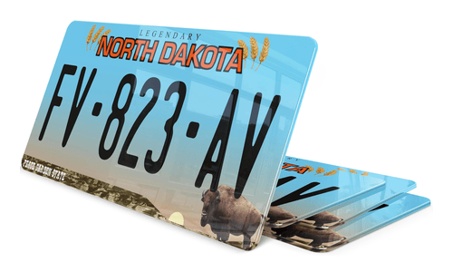 Plaque immatriculation Dakota du Nord 2 USA 30x15