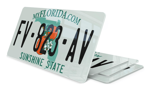 Plaque immatriculation My Florida USA 30x15