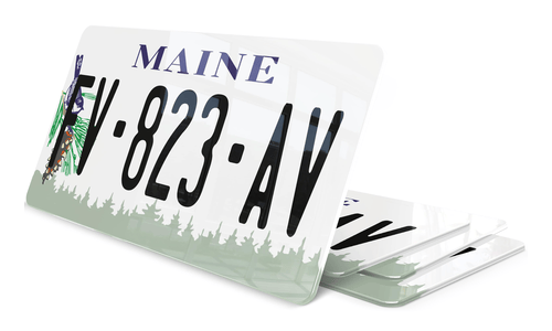 Plaque immatriculation Maine 2 USA 30x15