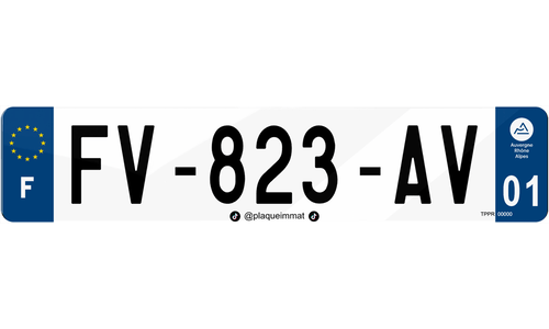 Plaque immatriculation homologuée avec réseau TikTok
