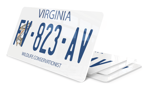 Plaque immatriculation Virginia 2 USA 30x15