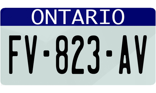 Plaque immatriculation Ontario USA 30x15cm