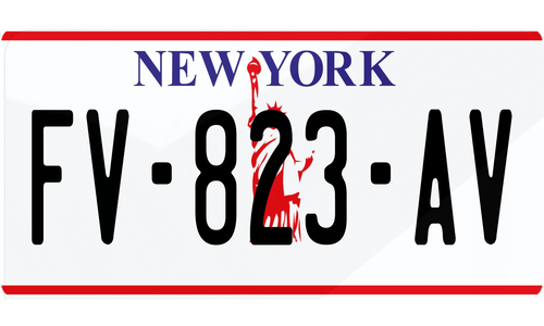 Plaque immatriculation New York USA 30x15cm