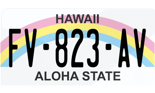 Plaque immatriculation Hawaii Aloha USA 30x15cm