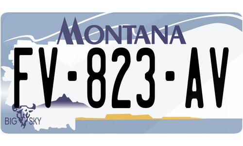 Plaque immatriculation Montana USA 30x15cm