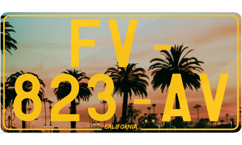 Plaque Immatriculation US California