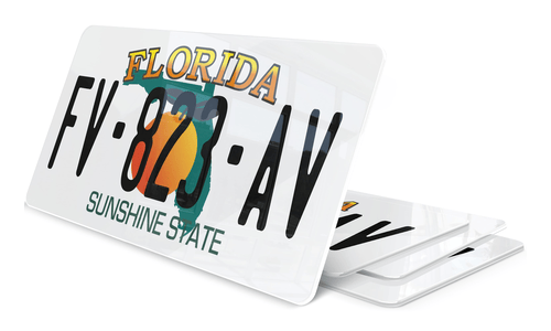 Plaque immatriculation Florida USA 30x15cm