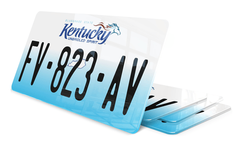 Plaque immatriculation Kentucky 2 USA 30x15