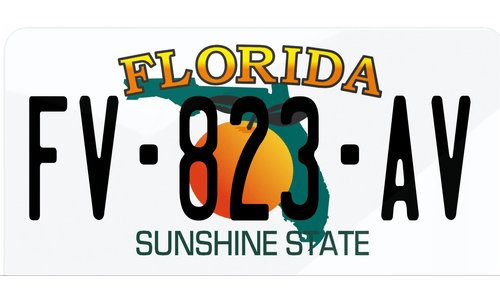 Plaque immatriculation Florida USA 30x15cm