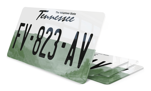Plaque immatriculation Tennessee 2 USA 30x15