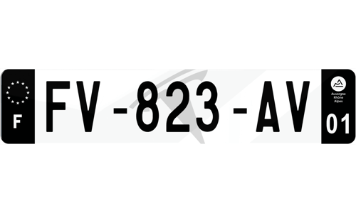 Plaque immatriculation noire Tesla logo fond