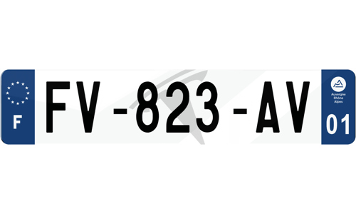 Plaque immatriculation Tesla logo fond