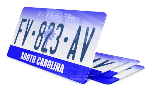 Plaque immatriculation Caroline du Sud 2 USA 30x15