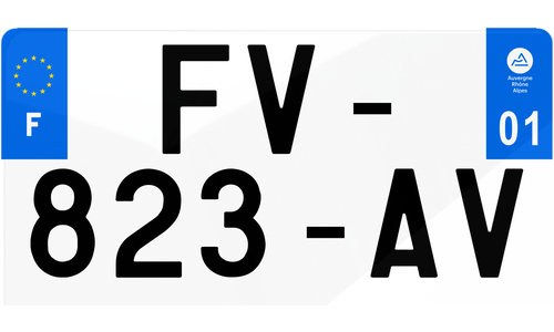 Plaque Immatriculation US personnalisée 30*15