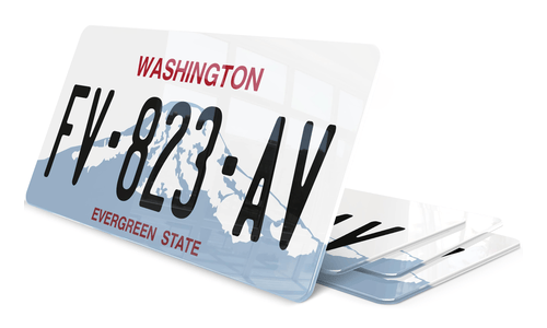 Plaque immatriculation Washington Evergreen USA 30x15