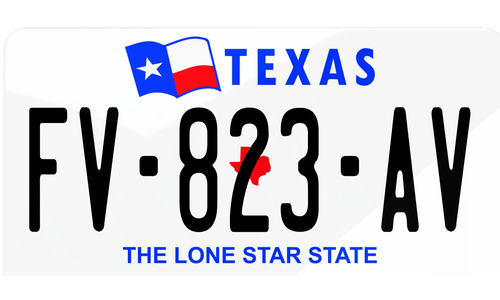 Plaque immatriculation Texas USA 30x15cm