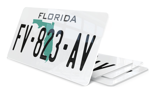 Plaque immatriculation Floride USA 30x15cm