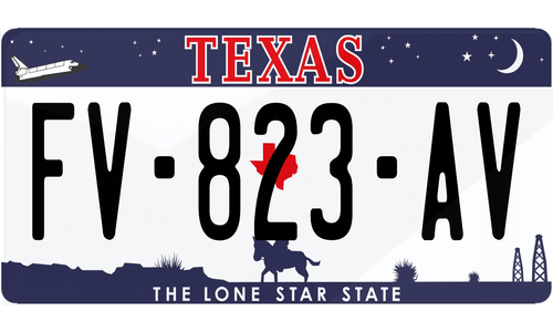 Plaque immatriculation Texas 2 USA 30x15cm