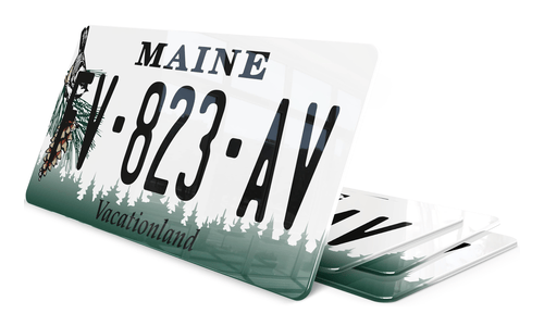 Plaque immatriculation Maine USA 30x15