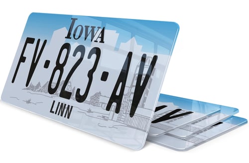 Plaque immatriculation Iowa Linn USA 30x15