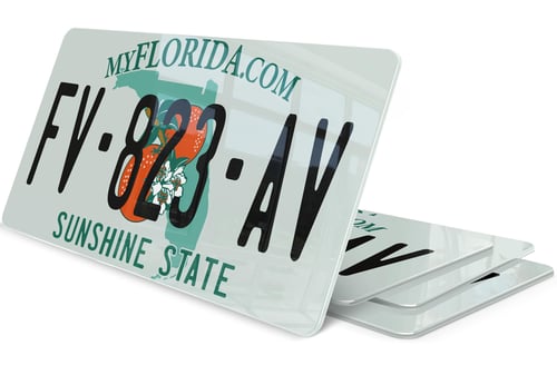 Plaque immatriculation My Florida USA 30x15