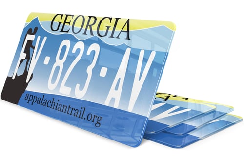 Plaque immatriculation Georgie 2 USA 30x15