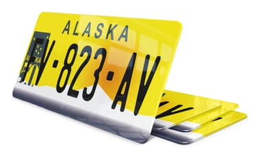 Plaque immatriculation Alaska 2 USA 30x15cm