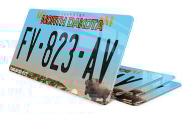 Plaque immatriculation Dakota du Nord 2 USA 30x15