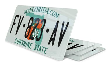 Plaque immatriculation My Florida USA 30x15