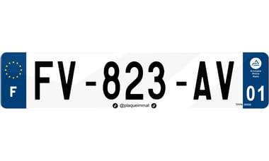 Plaque immatriculation homologuée avec réseau TikTok
