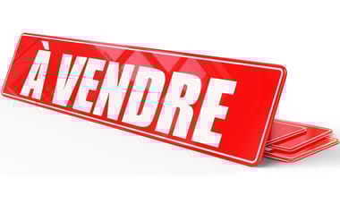 Cache plaque d'immatriculation A Vendre Rouge