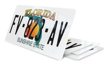 Plaque immatriculation Florida USA 30x15cm