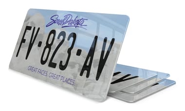 Plaque immatriculation Dakota Sud 2 USA 30x15