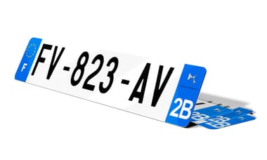 Plaque d'immatriculation DS AUTOMOBILES
