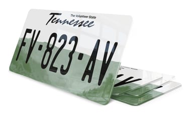 Plaque immatriculation Tennessee 2 USA 30x15