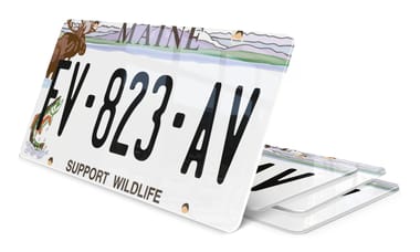 Plaque immatriculation Maine Support Wildlife USA 30x15