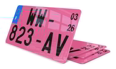 Plaque immatriculation provisoire Rose 4x4, Format US 30x15