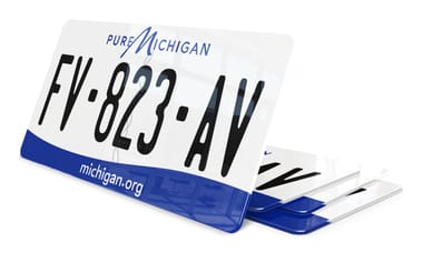 Plaque immatriculation Michigan USA 30x15