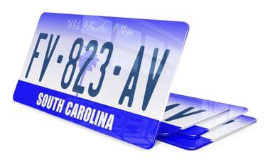 Plaque immatriculation Caroline du Sud 2 USA 30x15